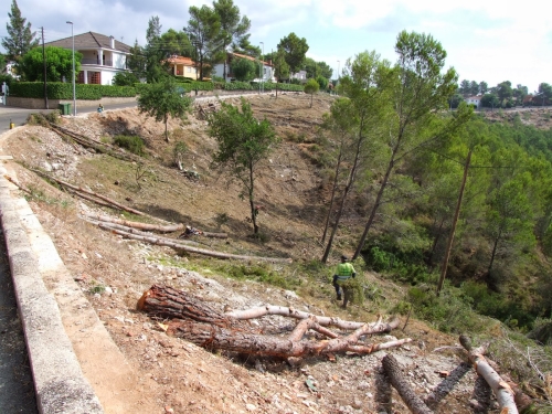 desbrossament bosc Tarragona